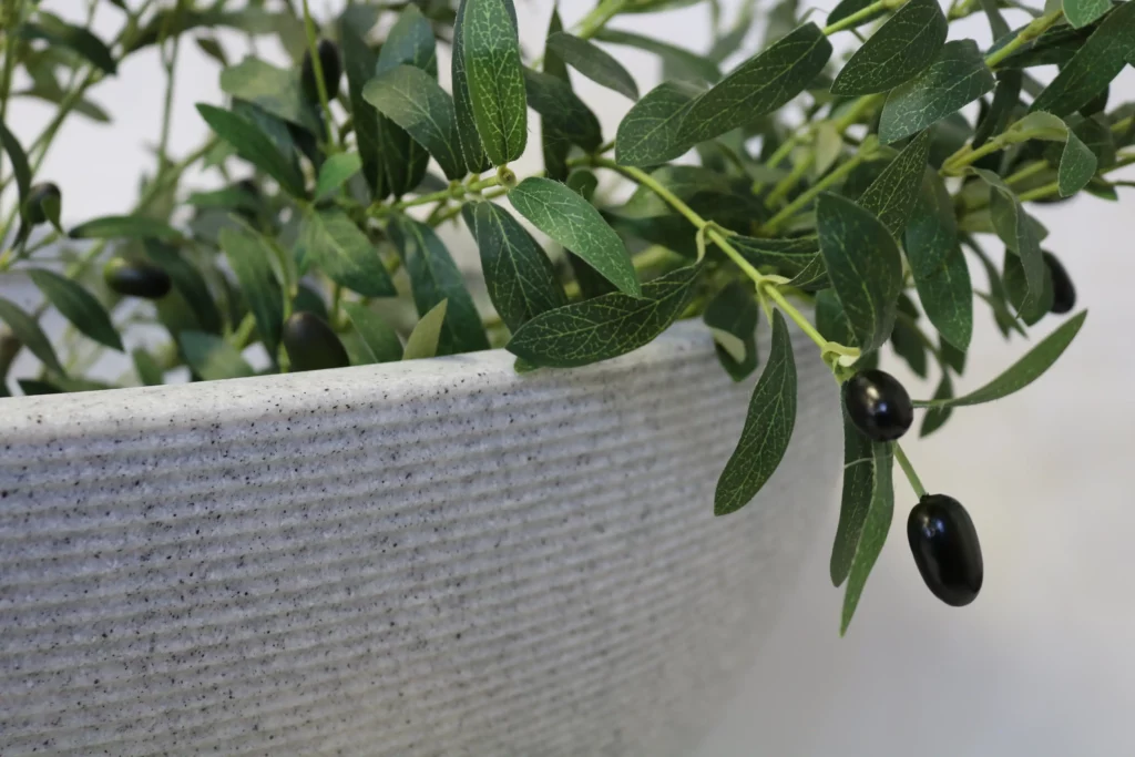 Ascot Large Low Bowl Rotomoulded Plastic Planter