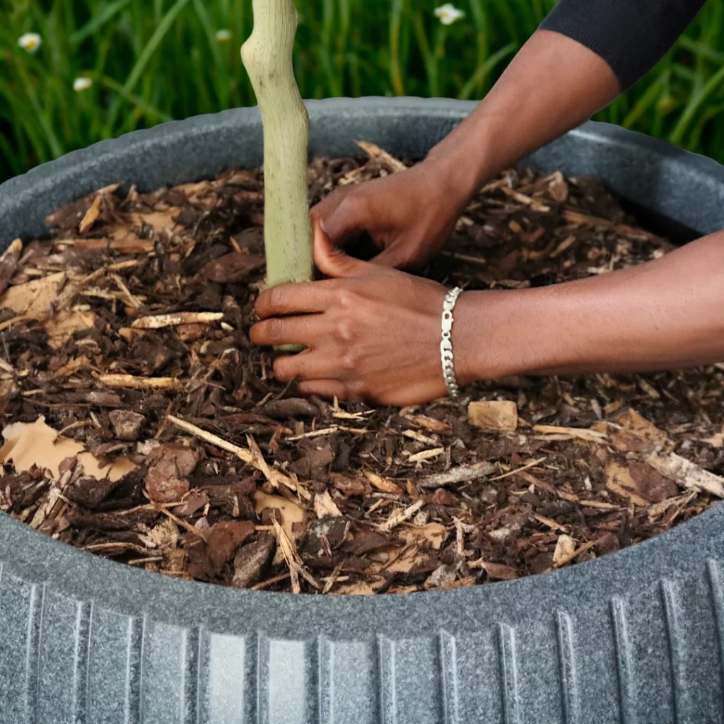 Windsor Rotomoulded Plastic Planter