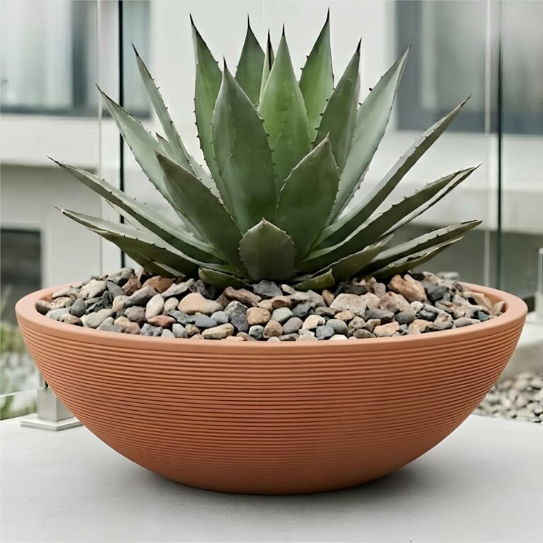 Ascot Large Low Bowl Rotomoulded Plastic Planter