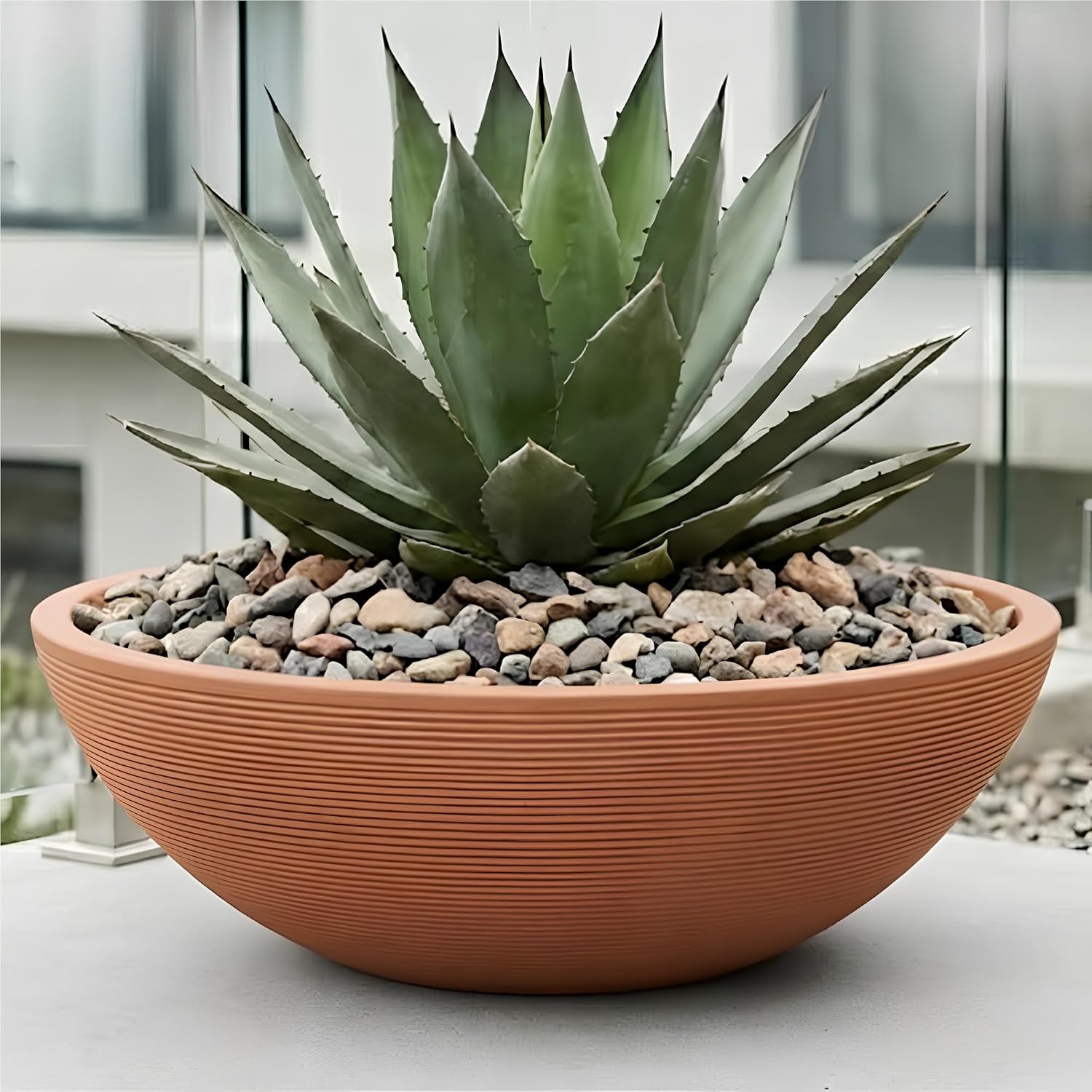 Ascot Large Low Bowl Rotomoulded Plastic Planter